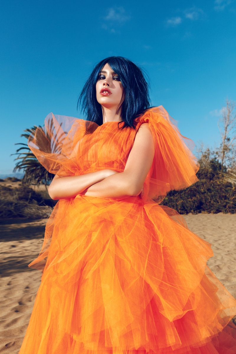 PhotoPascal LATIL   DESERT ROSES HD   18