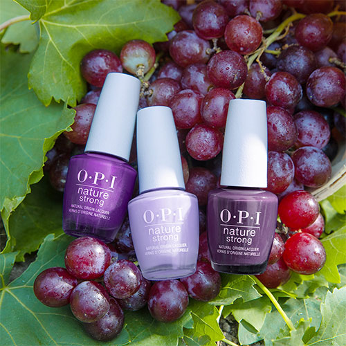 Blog NS Color Story4