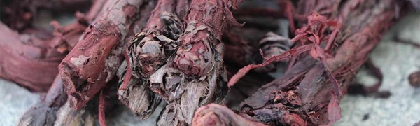 vorobeynik krasnolistovoy