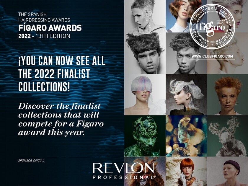 n14finalistas-eng-top