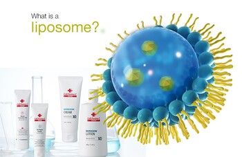 liposoma-cfc
