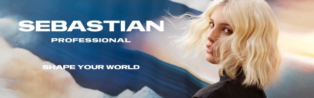 sebastian-professionalheader